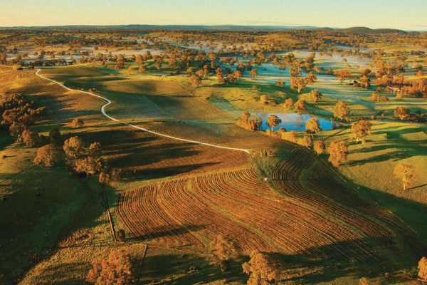 Tasting Riesling History The Real Review