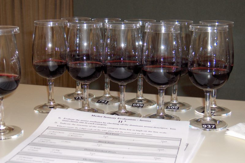 wine courses