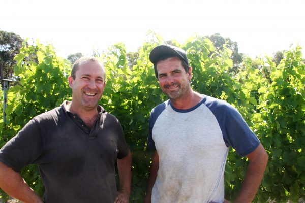 Grace Farm triumphs at Boutique Wine Awards – The Real Review