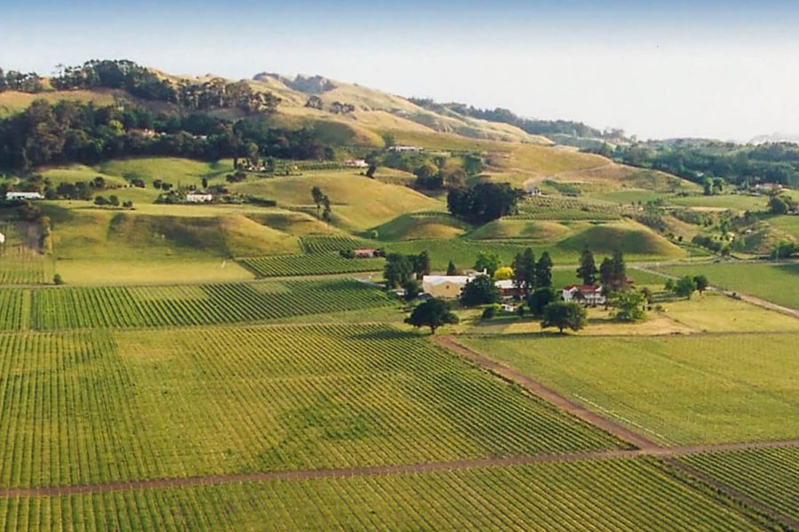 Hawke's Bay
