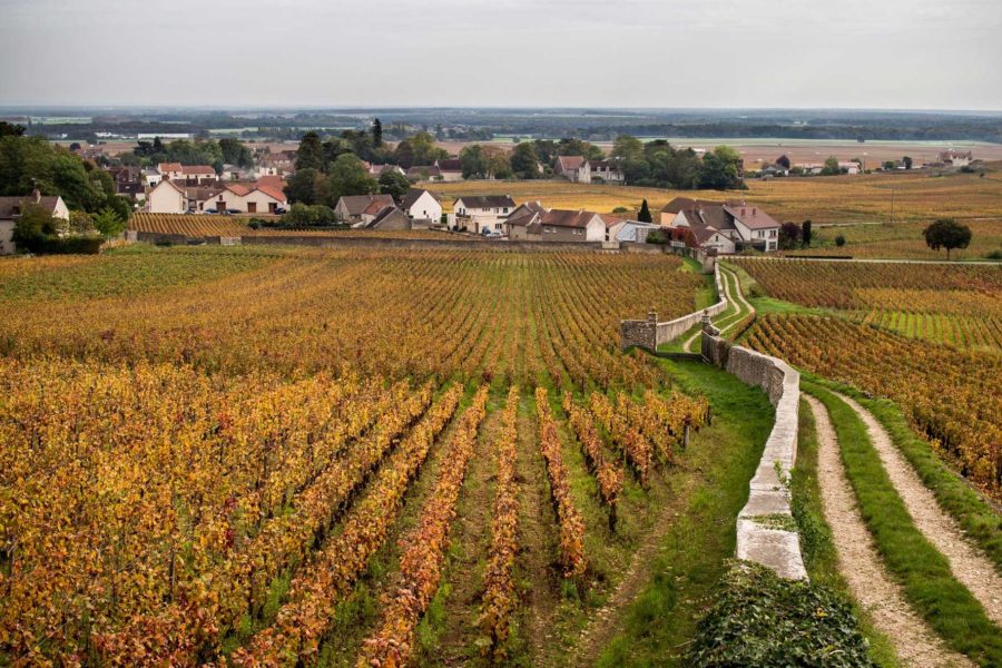 Domaine Armand Rousseau
