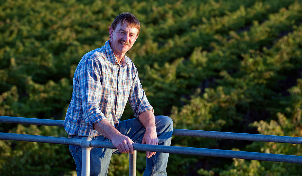 Jan 31, 2017 – The Real Review