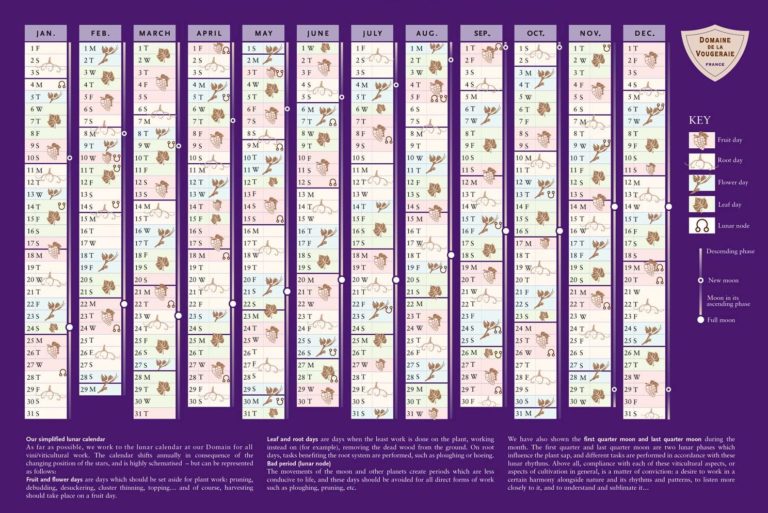 NZ study debunks biodynamic calendar for wine tasting The Real Review