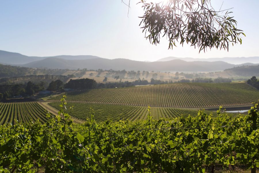 Tips for a Self-Guided Driving Tour of Napa Valley Wine Country