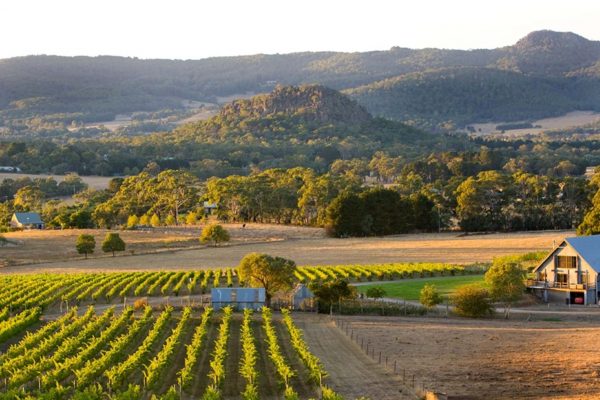 Mount Macedon Winery Wineries Near Me Open Tomorrow The BEST