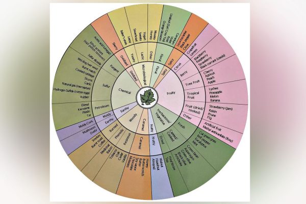 Noble’s wine aroma wheel – The Real Review