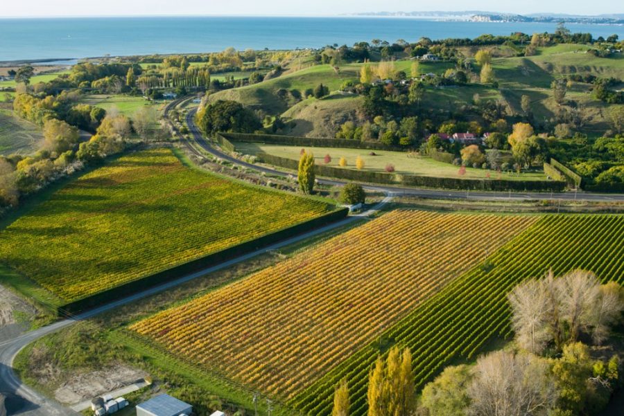 Hawke s Bay s One stop Wine Shop The Real Review hawke-s-bay-s-one-stop-wine-shop-the-real-review