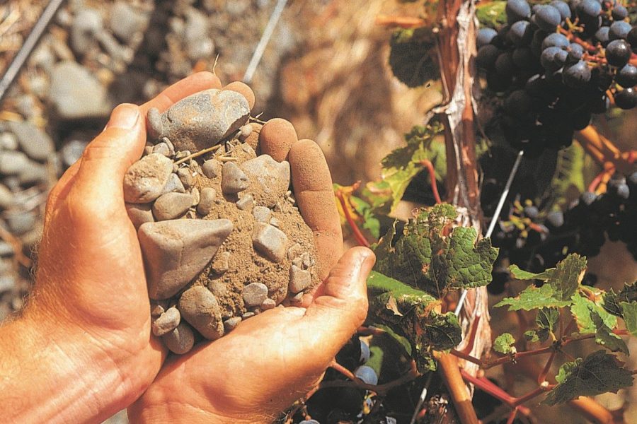 Gimblett Gravels gems The Real Review