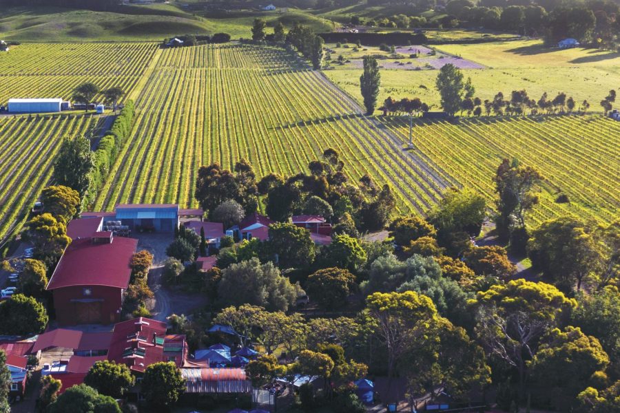 Clearview’s elegant trio The Real Review