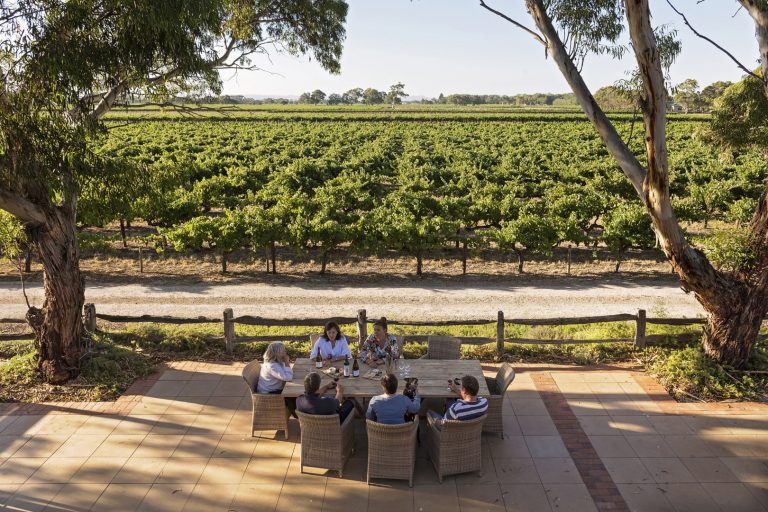 Introduction to Langhorne Creek The Real Review