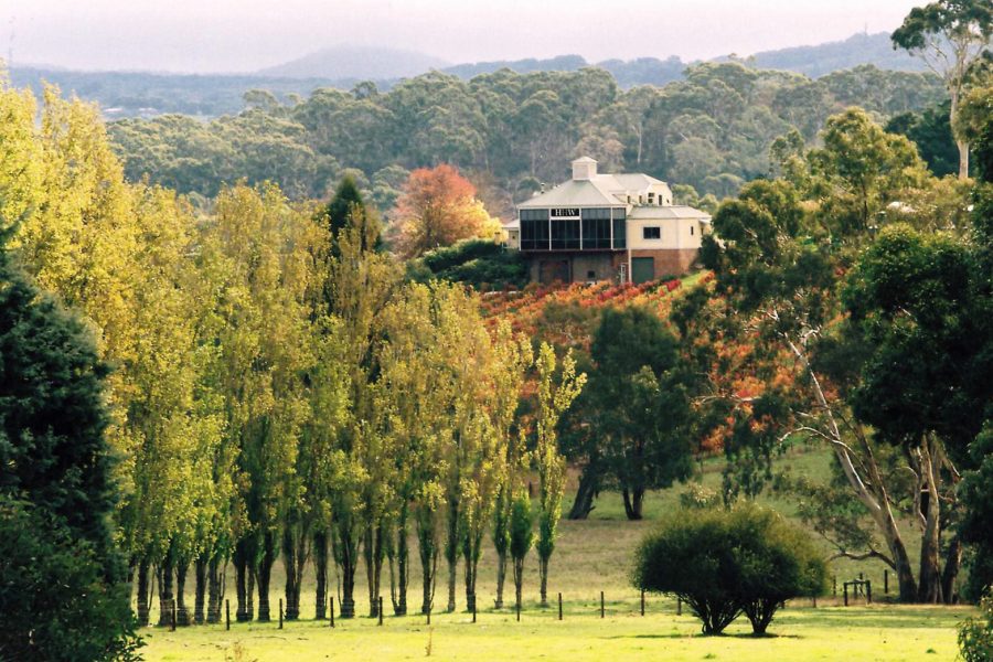 Introduction to the Adelaide Hills wine region The Real Review
