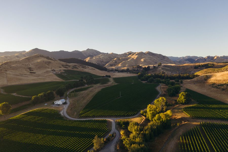 Cloudy Bay Vineyards: Putting New Zealand on the Map