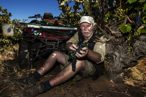 Peter Lehmann Wines  The Real Review