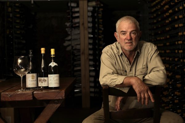 Pierro wines best sale