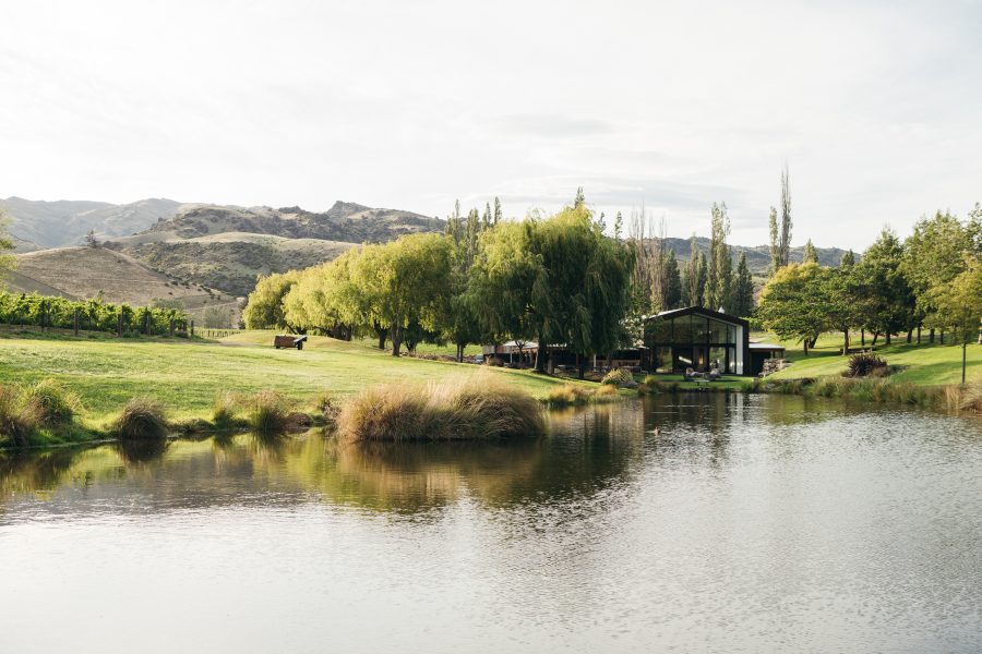 Cloudy Bay's New Cellar Door, The Shed - COOL HUNTING®