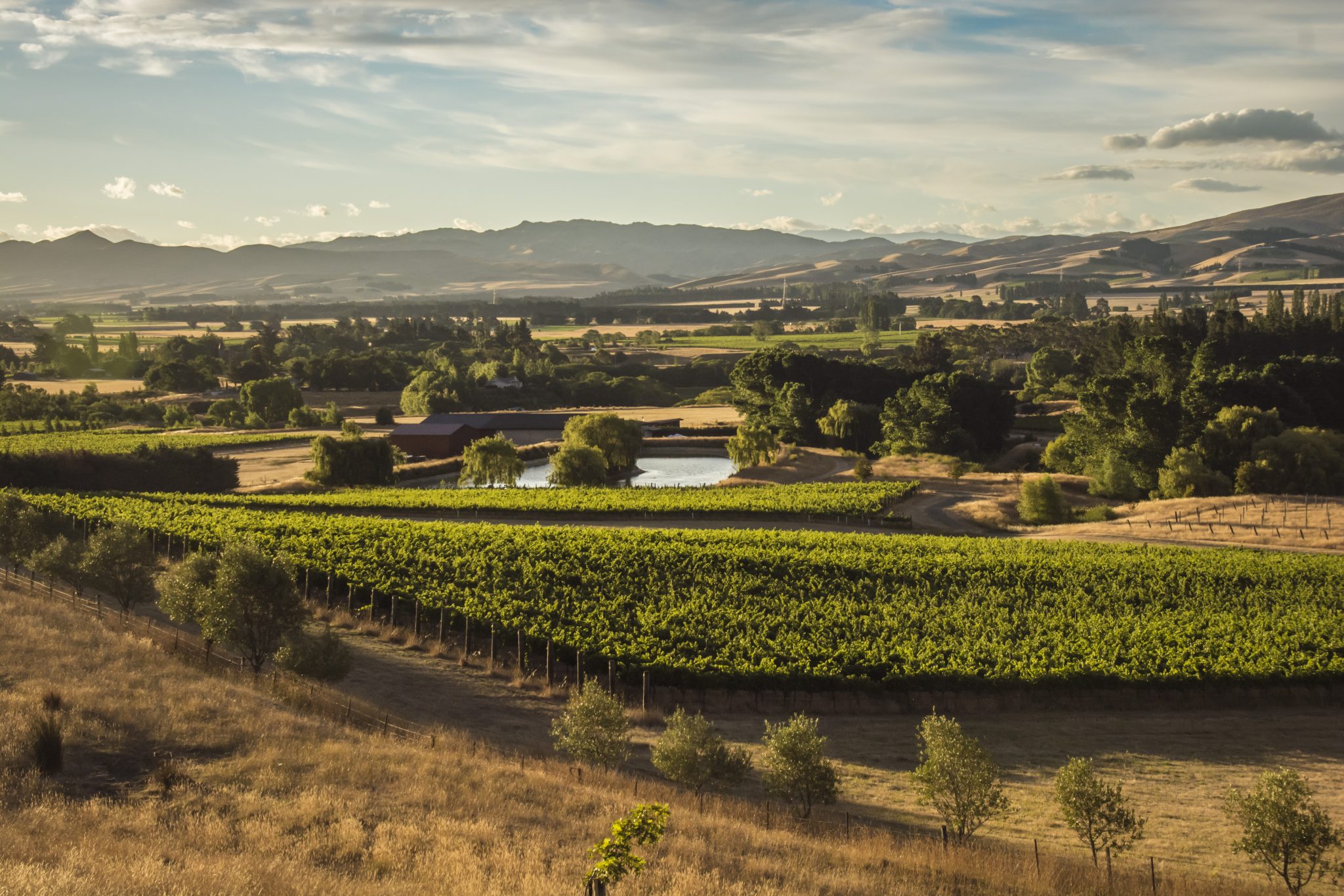 Top Wineries of New Zealand 2021 24 to 21 The Real Review