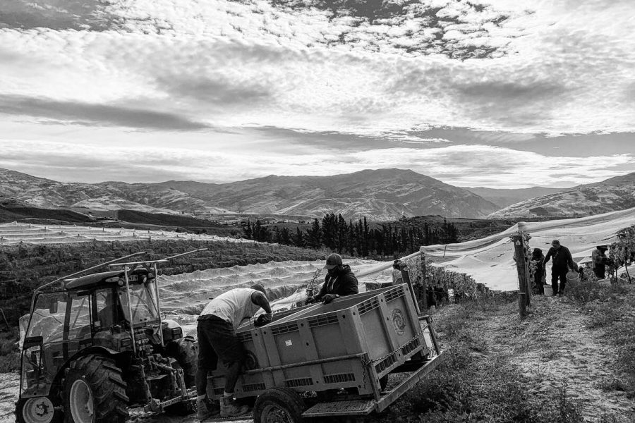 Dicey unpredictable and potentially risky The Real Review