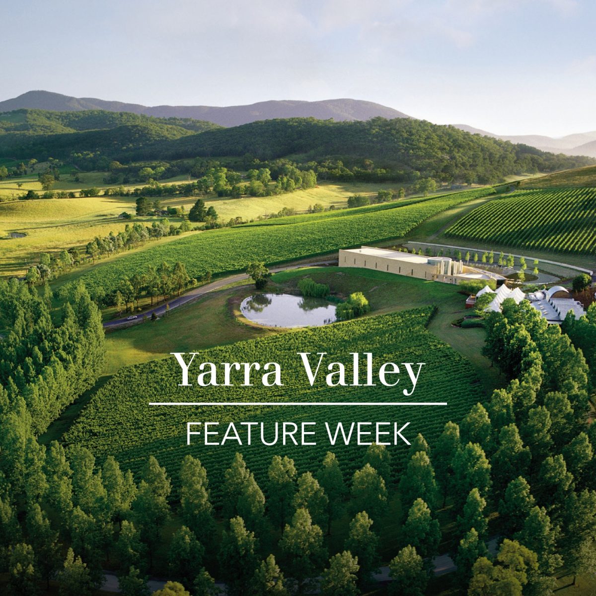 Introduction to the Yarra Valley The Real Review