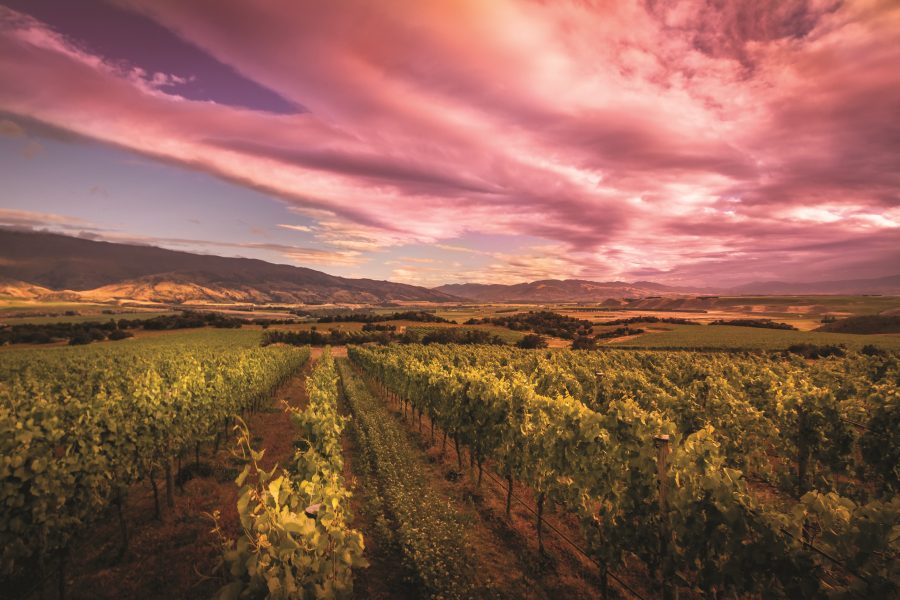 Top Wineries of New Zealand 2022Gibbston Valley Wines The Real Review