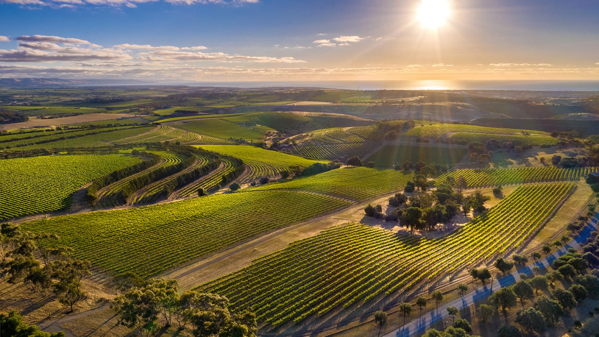 Endeavour buys Shingleback – The Real Review