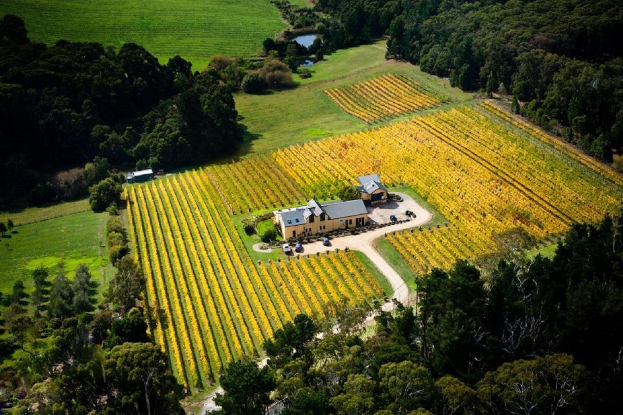 David Lloyd sells Eldridge Estate The Real Review