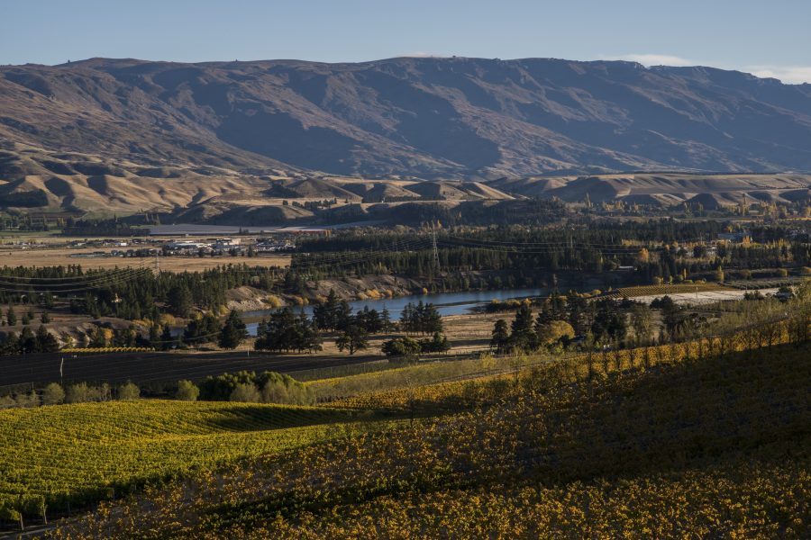 Introduction to Bannockburn, New Zealand The Real Review