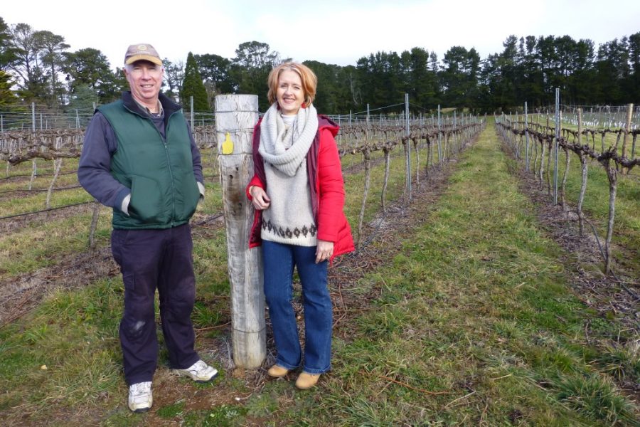 Alsace influence at Colmar Estate The Real Review