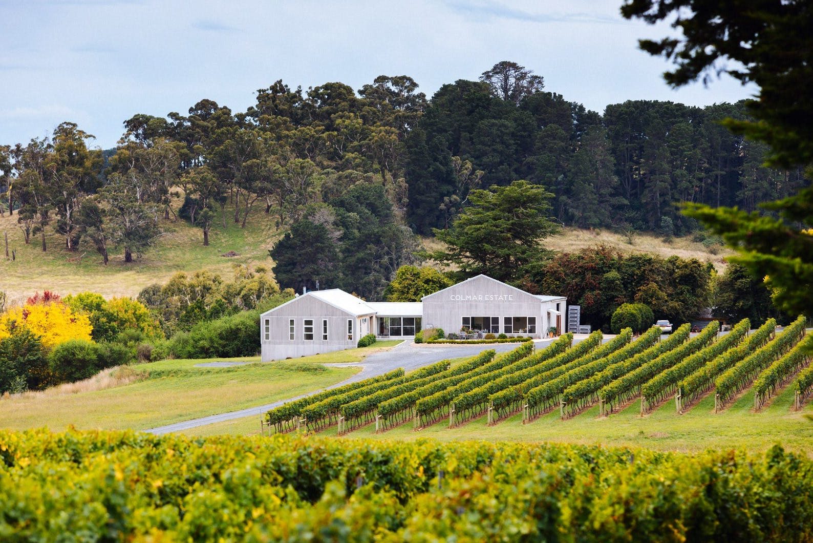 Alsace influence at Colmar Estate The Real Review