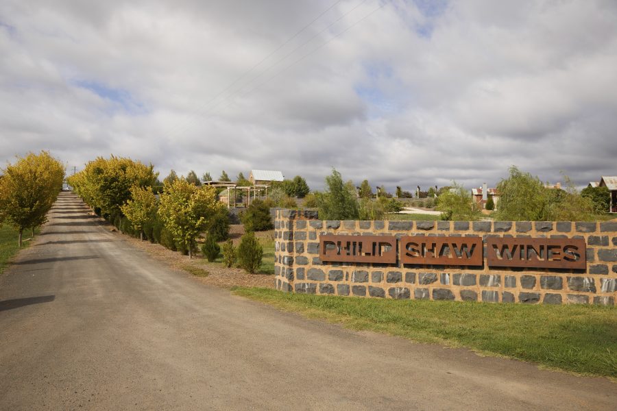 Introduction to the Orange wine region The Real Review