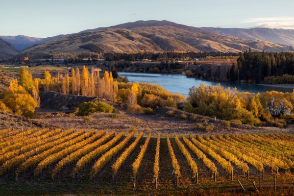 Get Ready To Roam Central Otago 2023 The Real Review