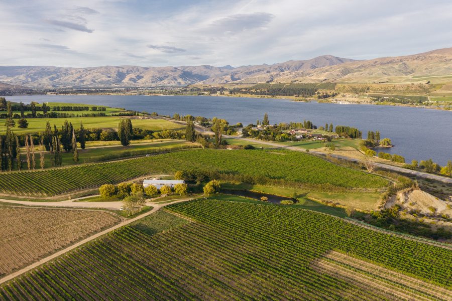 Cloudy Bay Vineyards: Putting New Zealand on the Map