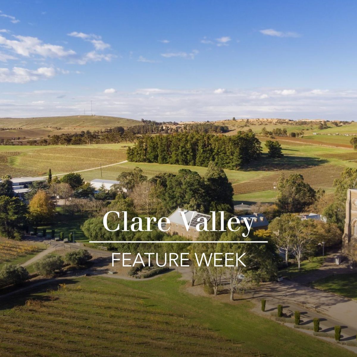 Introduction to the Clare Valley The Real Review