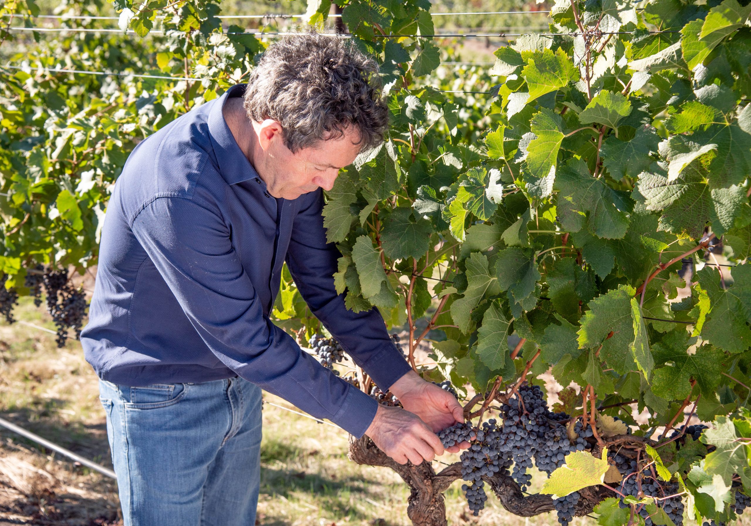 bancroft23 The Real Review