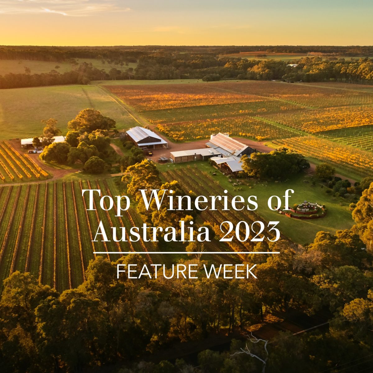 Top Wineries of Australia 2023: 13 to 16 – The Real Review