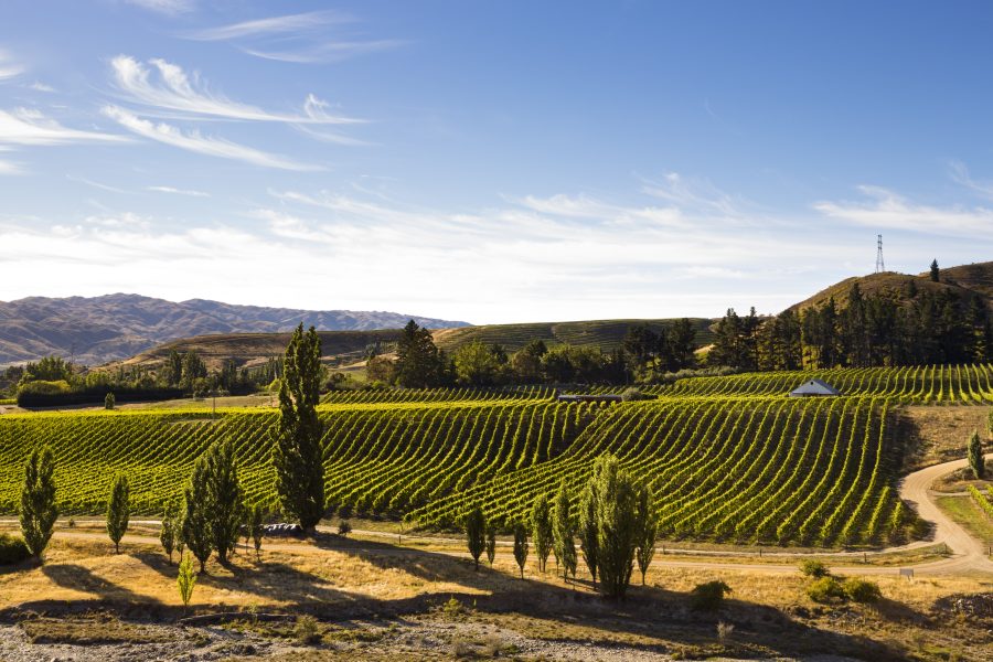 The Real Review Top Wineries of New Zealand 2023 announced – The Real ...