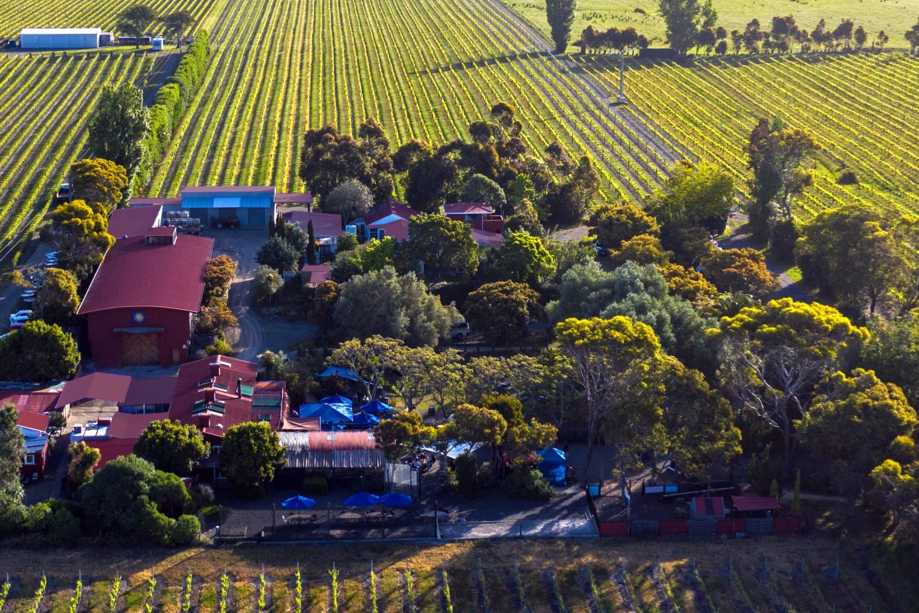 Clearview Estate Aerial Portrait The Real Review