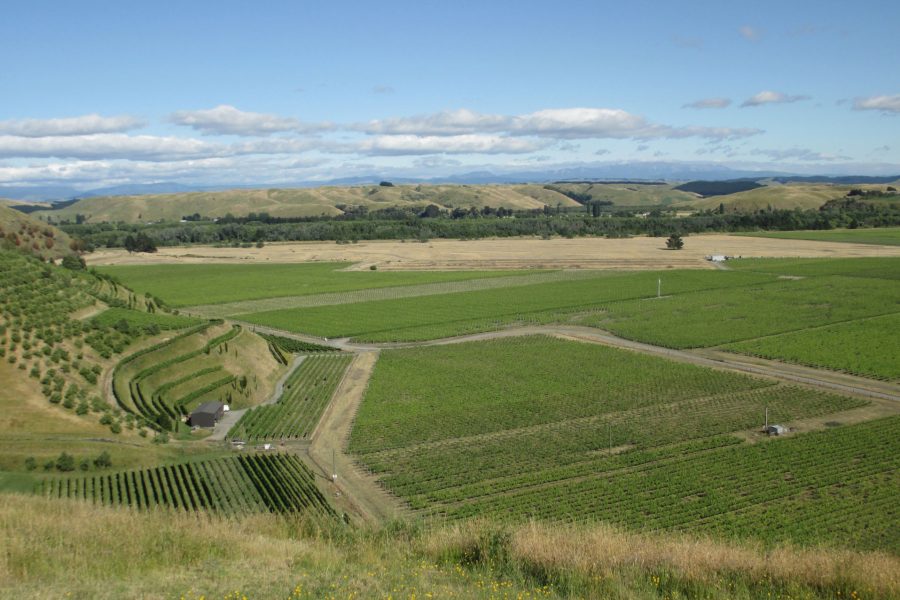 Introduction to the Gimblett Gravels The Real Review