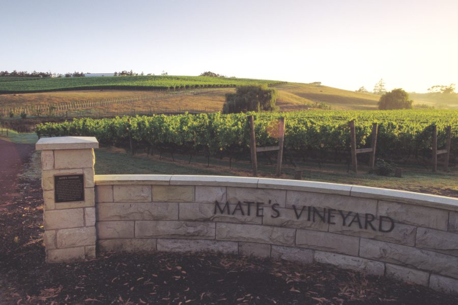 The high profile of Kumeu River The Real Review